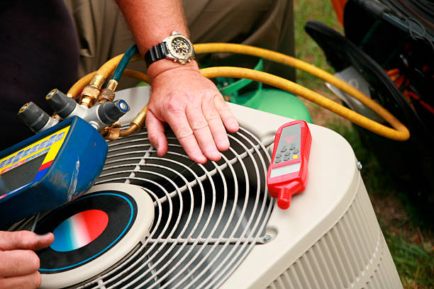 Best HVAC air duct cleaning  in Northdale, FL
